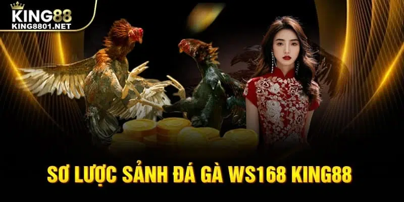Sơ lược sảnh Đá gà WS168 king88